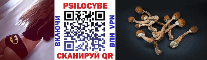 кракен tor  закладка  Нижние Серги  Галлюциногенные грибы Magic Shrooms 