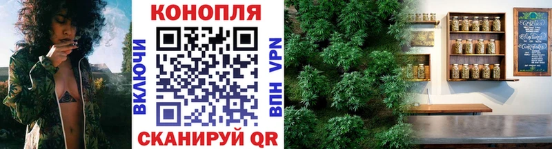 Каннабис сатива  Нижние Серги 